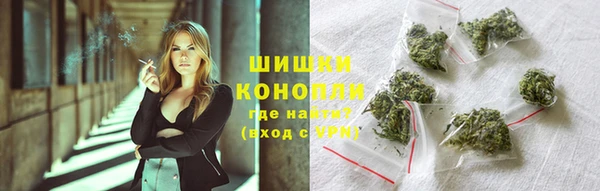 Альфа ПВП Гусев