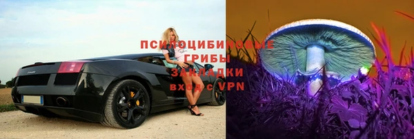 Альфа ПВП Гусев