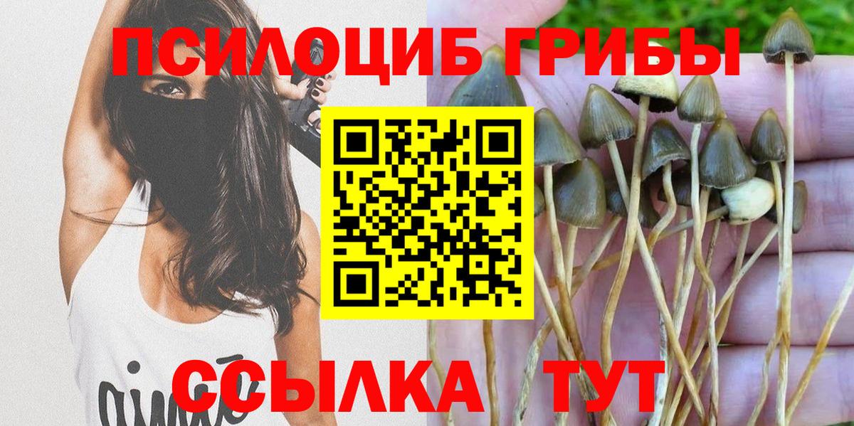 Галлюциногенные грибы Psilocybine cubensis  Псилоцибиновые грибы GOLDEN TEACHER  Вход с VPN  Шарыпово 
